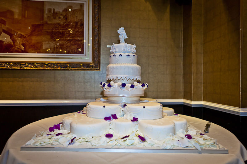 Llyndir Hall Wedding (21)
