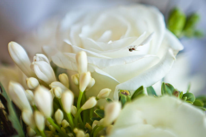 Ruthin Castle Wedding Photography (10)