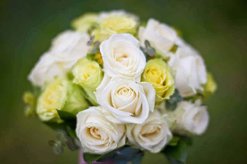 Wedding Rowton Hall - (37)
